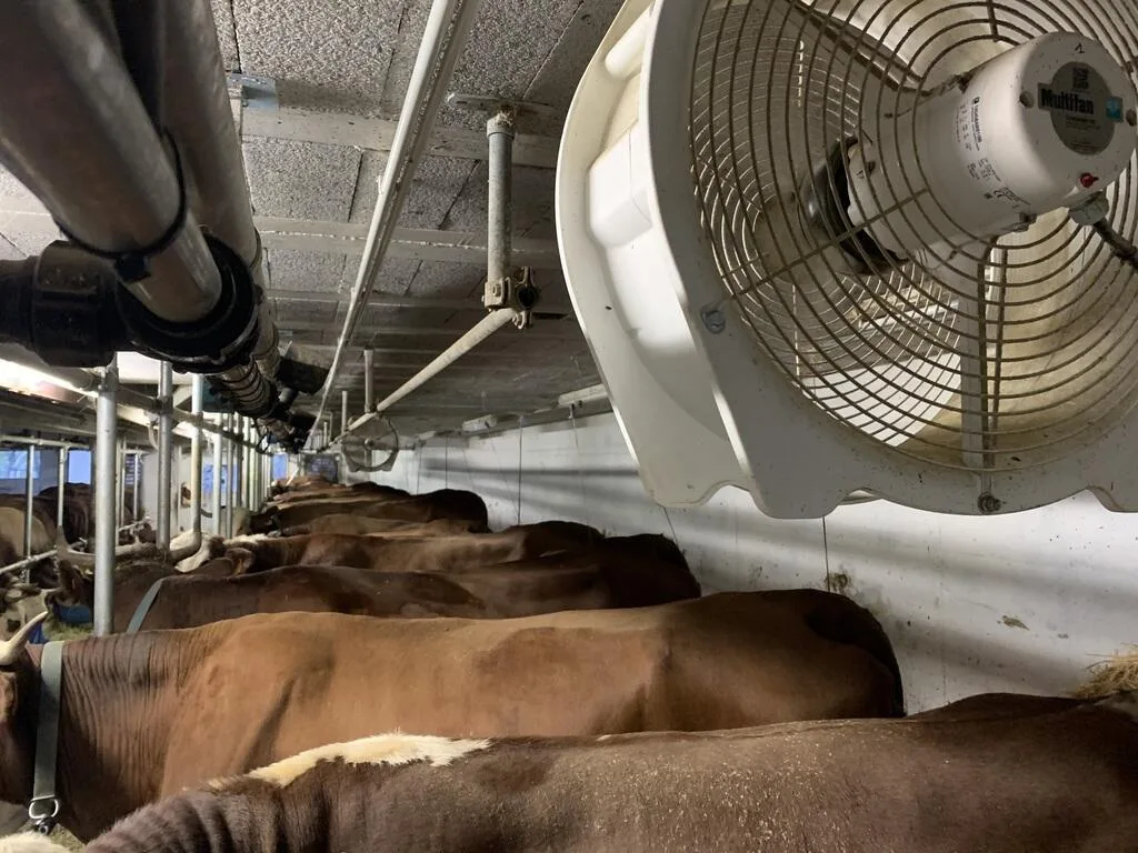 Aménagement intérieur de bâtiment agricole - Dematec