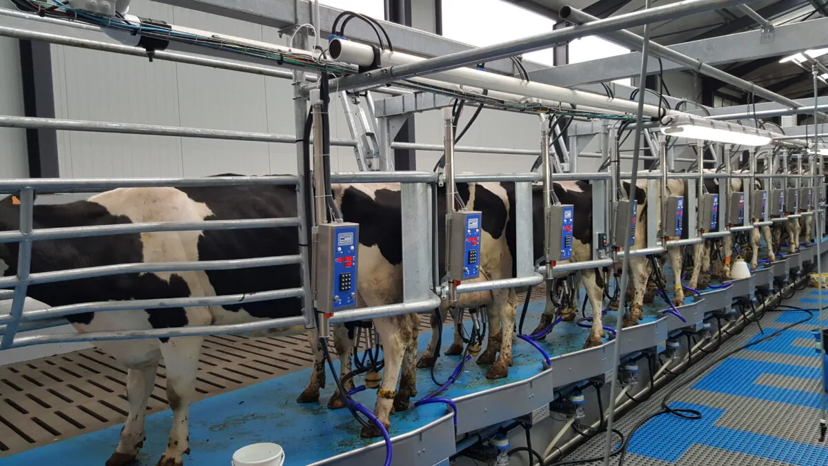 HD2 - Machine de traite épi